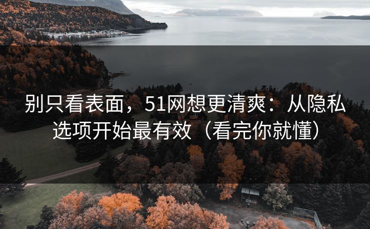 别只看表面，51网想更清爽：从隐私选项开始最有效（看完你就懂）